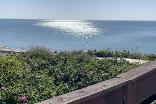 Фото экскурсии - Куршская коса - уникальное природное место России - 7