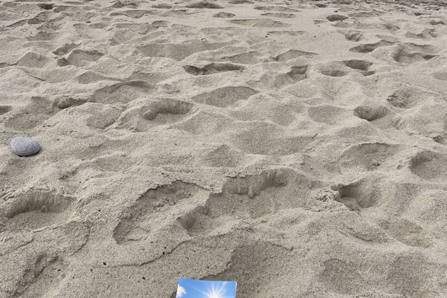 Фото экскурсии - Куршская коса - уникальное природное место России - 8