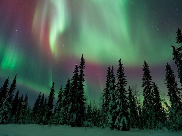 Загадайте желание под северным сиянием! - фото 4