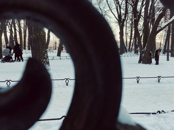 Улица Репина: изнанка непарадного Петербурга - фото 4
