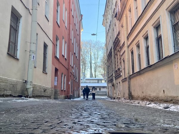 Улица Репина: изнанка непарадного Петербурга - фото 2