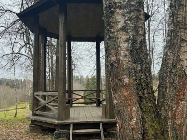 В гости к Островскому: из Костромы в Щелыково - фото 3