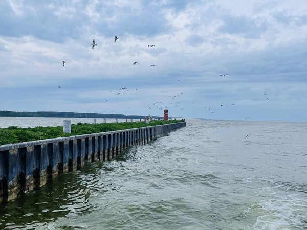 Куршская коса с воды и высоты — эксклюзивный маршрут из Светлогорска - фото 3