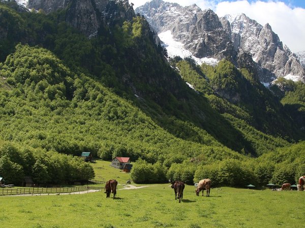 Комови и Проклетие: прекрасные природные парки Черногории (из Подгорицы) - фото 1
