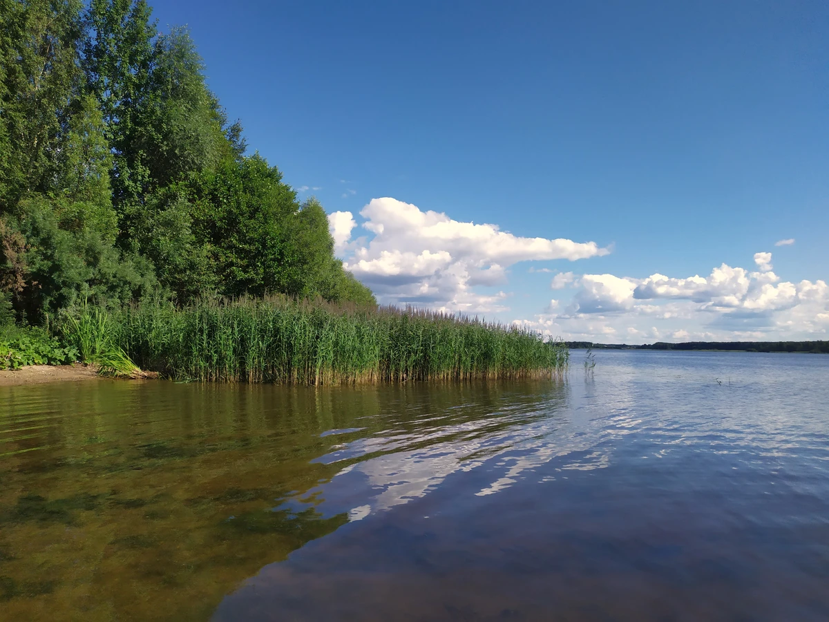 Раскинулось море широко: прогулка-рыбалка на катере по Костромскому морю