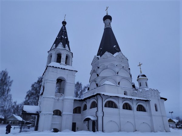 Красное-на-Волге и лосиная ферма - фото 4