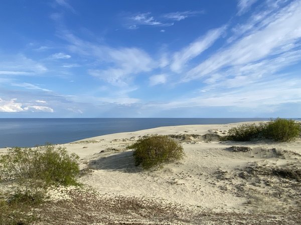 Три в одном: Куршская коса, Светлогорск и Зеленоградск - фото 3