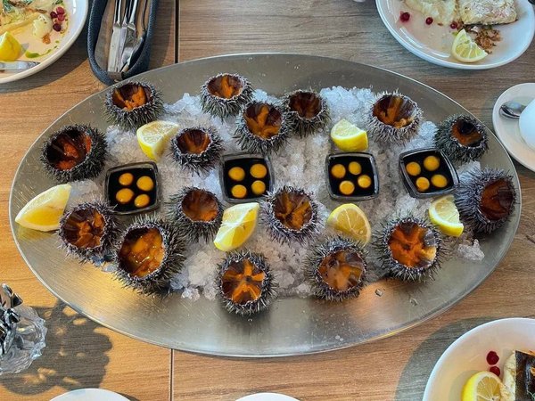 Океан впечатлений в Арктике: айс-флоатинг, северное сияние, морская прогулка и гастрономия - фото 2