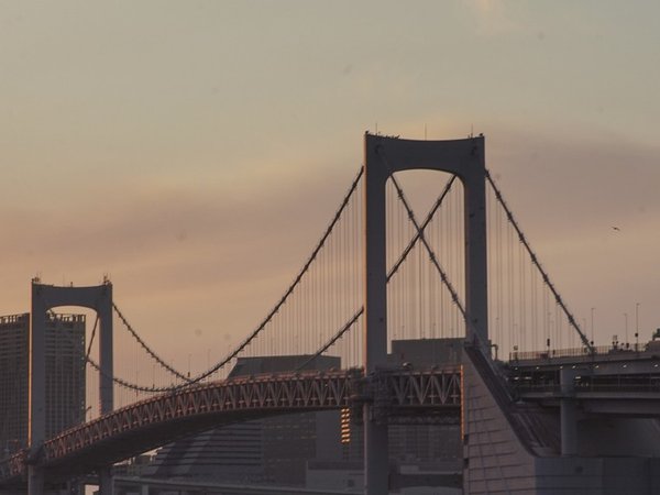 Токио сквозь эпохи: аудиогид от Императорского дворца до Одайбы (6+) - фото 1