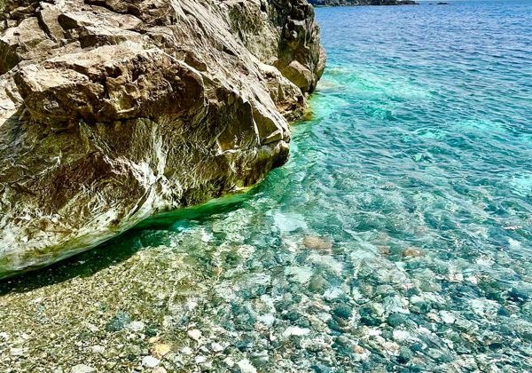 Дальневосточное SPA: купание с тюленями и дальневосточная кухня - фото 3