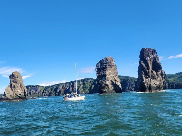 Крабовое сафари на Камчатке - фото 4