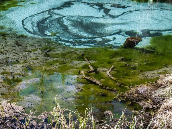 Неделя на Алтае: Телецкое озеро, Катунь и Чуйский тракт в мини-группе, фото 5