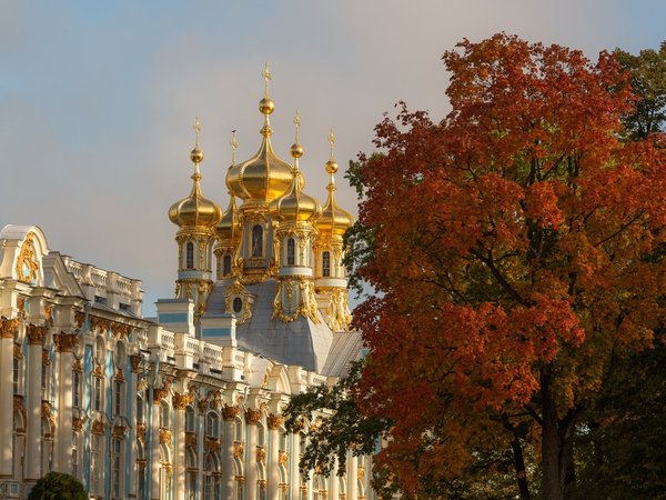 Из Санкт-Петербурга — в три императорские резиденции - фото 1