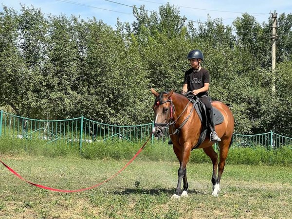 Трансфер из Бухары в центр верховой езды - фото 4
