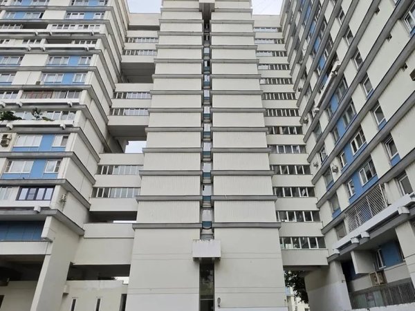 Московский район-эксперимент: тайны Северного Чертаново - фото 2