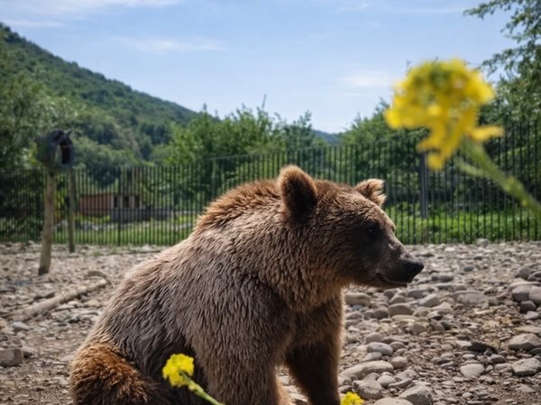 На водохранилище Сиони — из Тбилиси - фото 4