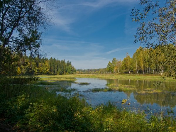 От Хотьково до Абрамцево: сплав на сапбордах и прогулка по усадьбе - фото 2