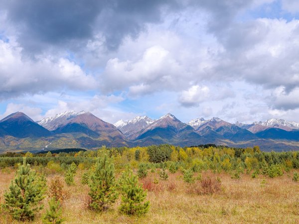 Перезагрузка в Аршане: двухдневное путешествие из Иркутска - фото 3