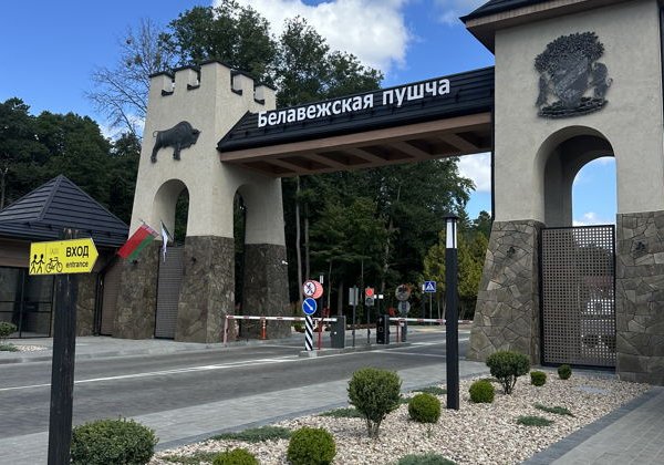 Беловежская пуща — в гости к зубру: трансфер из Бреста - фото 4