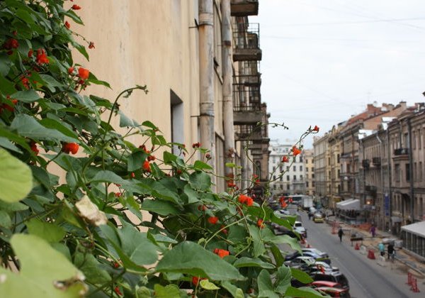 По улице Рубинштейна с Сергеем Довлатовым - фото 1