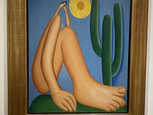 Музей MALBA в Буэнос-Айресе: Латинская Америка, рассказанная языком искусства - фото 4