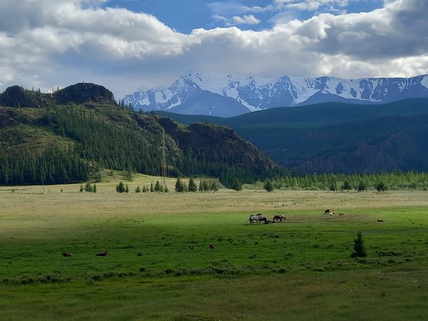 Алтайский Марс и другие знаковые точки Чуйского тракта - фото 4