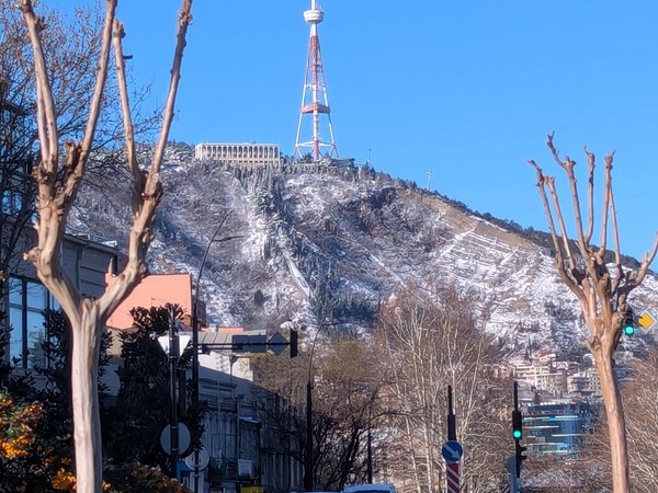 Экскурсия к монументу Дидгорский битвы - фото 4