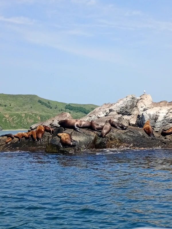 Аскольд и Путятина: в поисках морских легенд