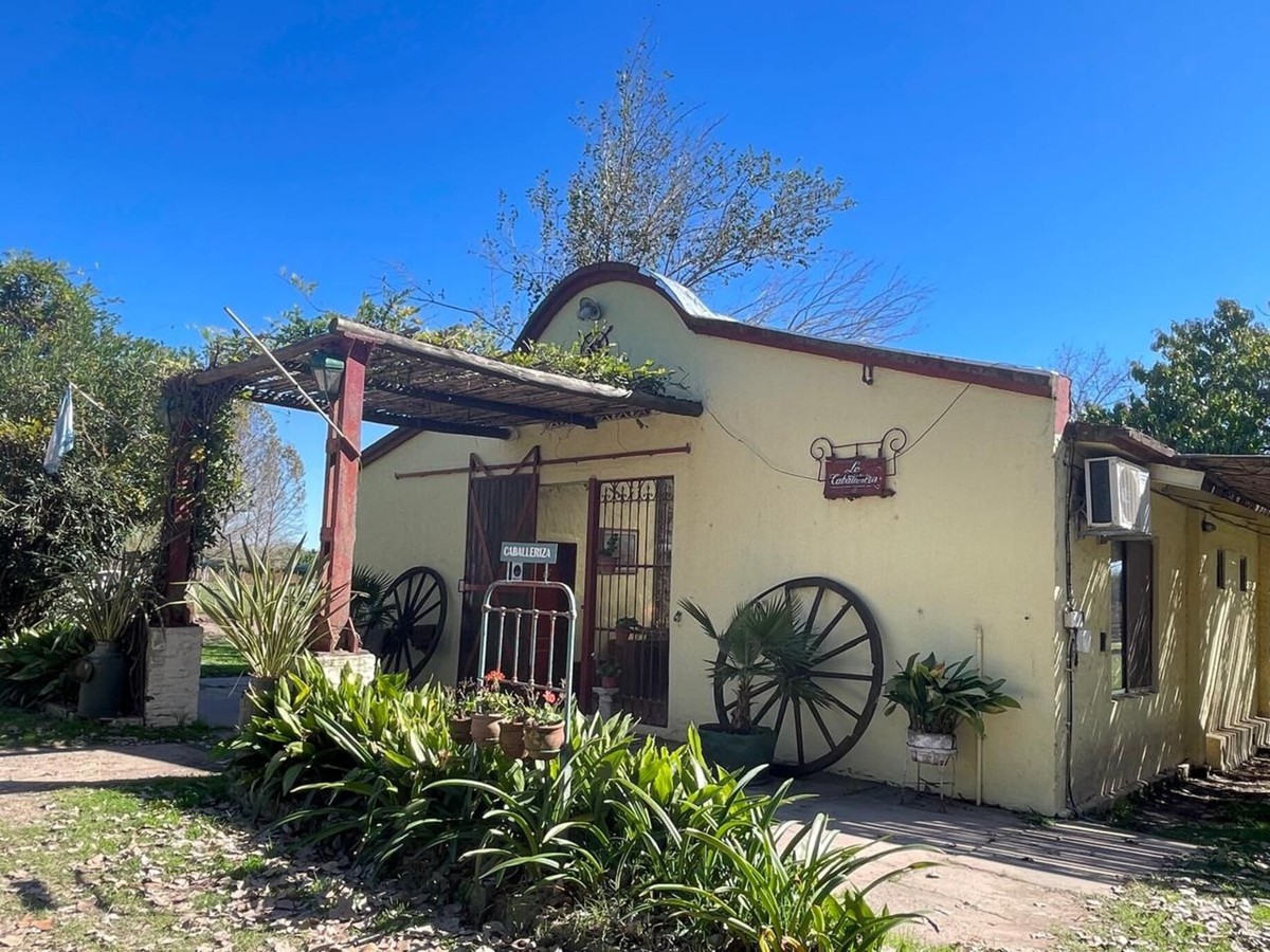 День на настоящей аргентинской эстансии: шоу гаучо, вино, асадо (всё включено)