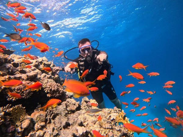 Всё Красное море за день: дайвинг, снорклинг и отдых на острове - фото 2