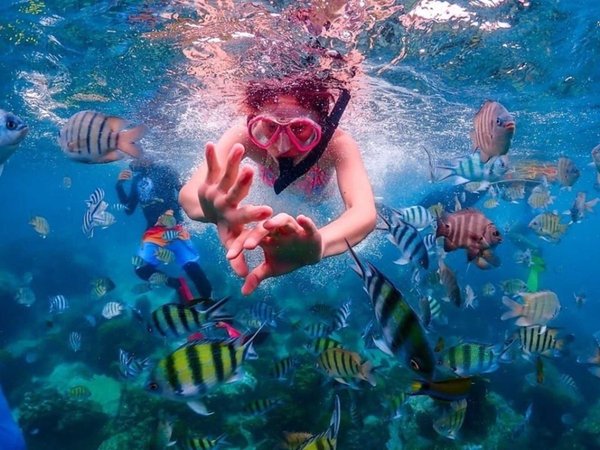 К рыбкам Немо из Бангкока (всё включено) - фото 3