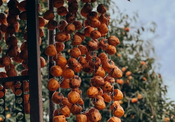 Вкус Абхазии: застолье, культура, фольклор - фото 1