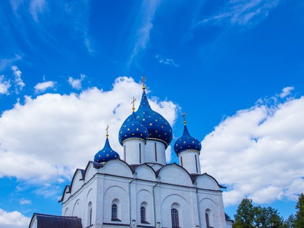 Разгадать суздальский феномен - фото 3