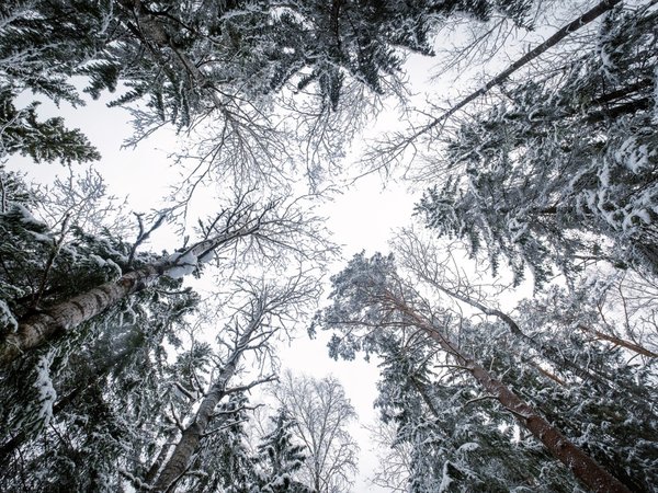Новогодний маршрут из Петрозаводска: Чёртов стул + зимний пикник - фото 1