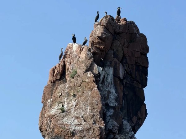 Кекуры и морские котики: прогулка вокруг острова Русский - фото 4