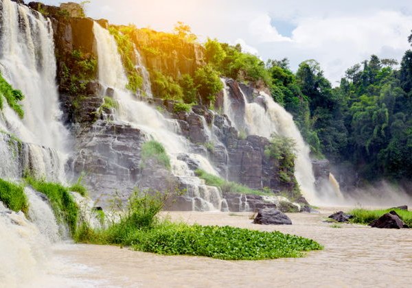 Далат: цветы, водопады и кофе - фото 2