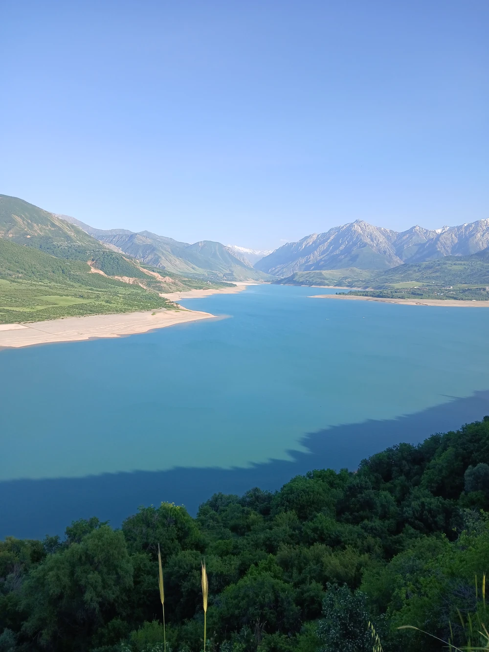 Из Ташкента — к горам Чимган и озеру Чарвак - фото 4
