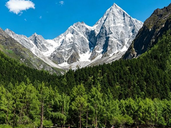 Бипэнгоу — однодневная экскурсия из Чэнду - фото 4