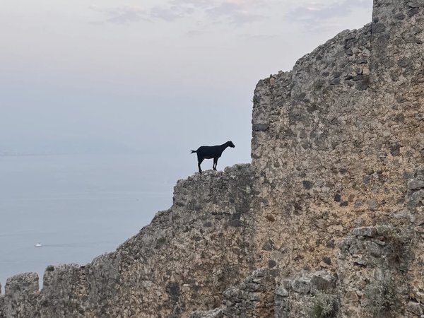 Главное в Аланье за 4 часа: от пещеры Дим до крепости - фото 3