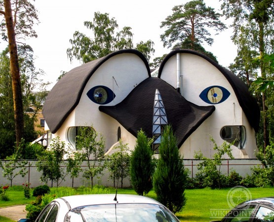 Живописный Сестрорецк - фото 4
