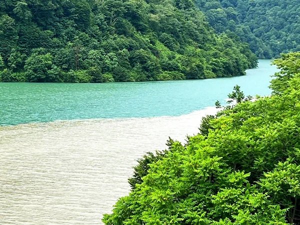Горная Аджария: легенды, водопады и грузинское застолье (всё включено)