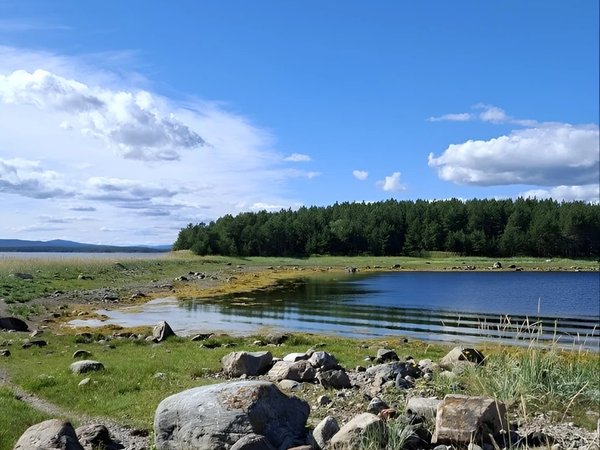 Из городов Хибин — к Белому морю: два треккинга и наблюдение за птицами - фото 4