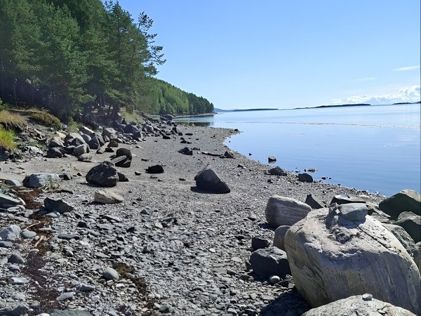 Из городов Хибин — к Белому морю: два треккинга и наблюдение за птицами - фото 2