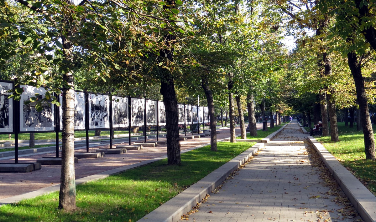 По Твербулю с гитарой! - фото 3