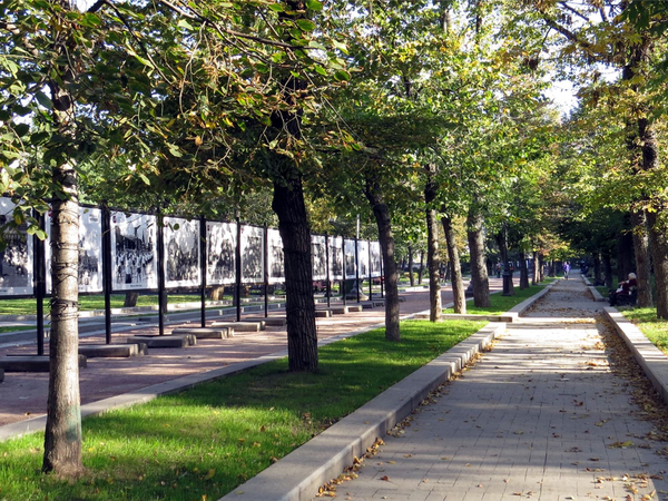 По Твербулю с гитарой! - фото 3