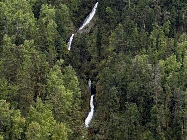 По заповедным берегам Телецкого озера: Яйлю, Чири и южный берег - фото 2