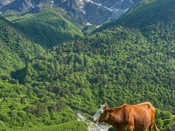 Код доступа: Дигория. Секретные тропы заповедной Алании на джипе - фото 1