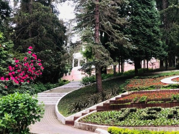Турецкие Карловы Вары: термальные источники и релакс в Ялова Термаль - фото 2