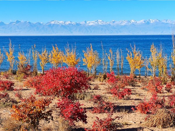 Сафари по каньонам Иссык-Куля — из Чолпон-Аты