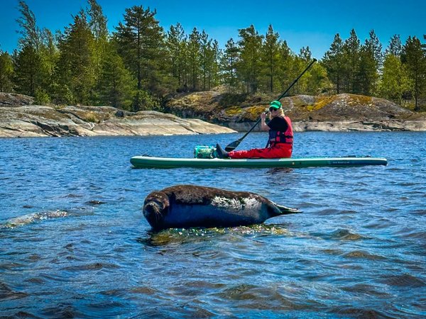 Большая сап-прогулка к открытой Ладоге - фото 1